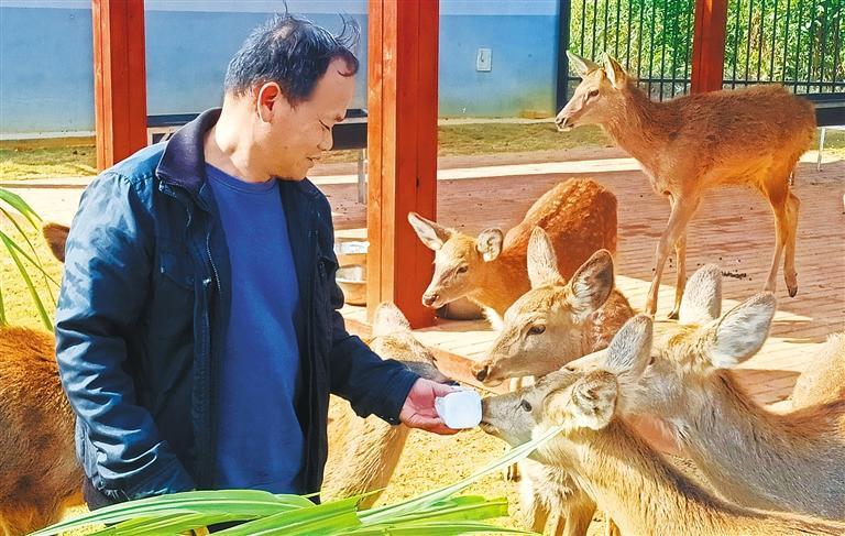 质量发展产业调研】林下生金不朽情缘平台登录入口【高(图2)