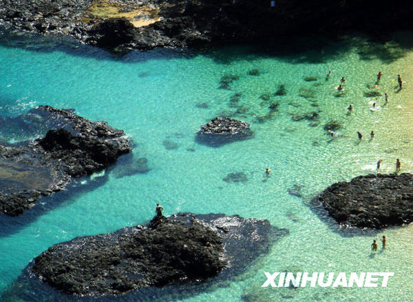 费尔南多—迪诺罗尼亚岛不朽情缘平台网站美